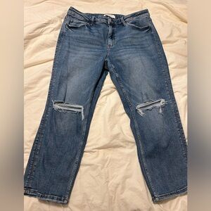 LOVERVET stretchy denim like new straight ankle jean 16w